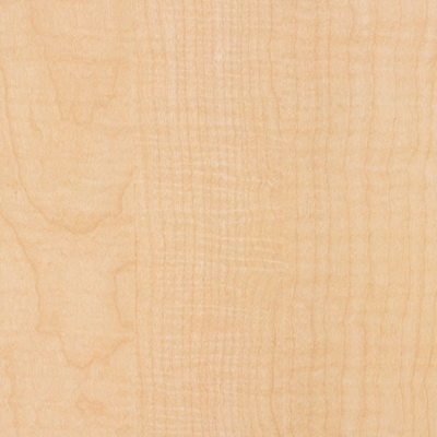 Gray Elm